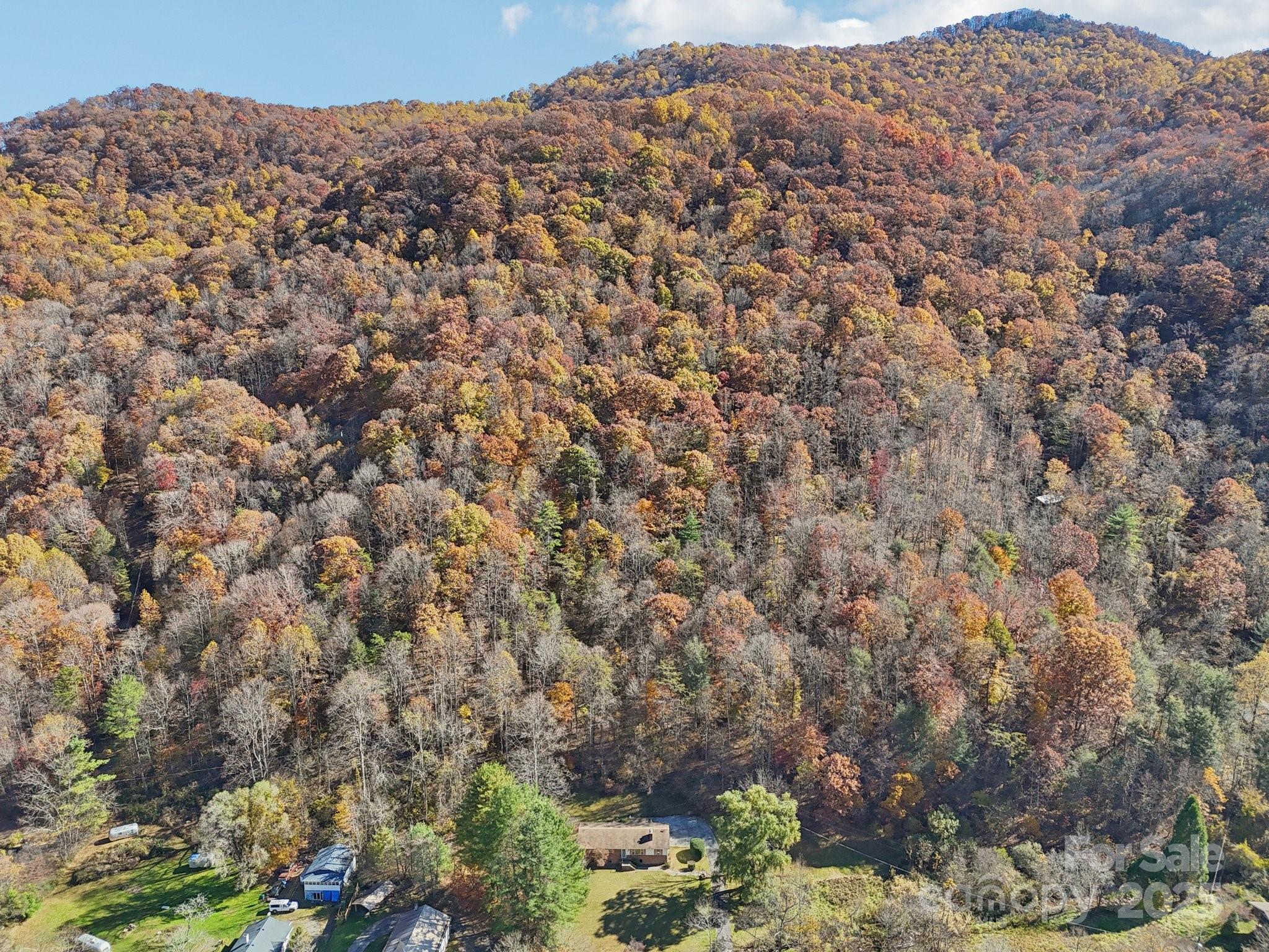 480 Paint Fork Road Barnardsville, NC 28709 - Photo 40 of 43 a view of a field