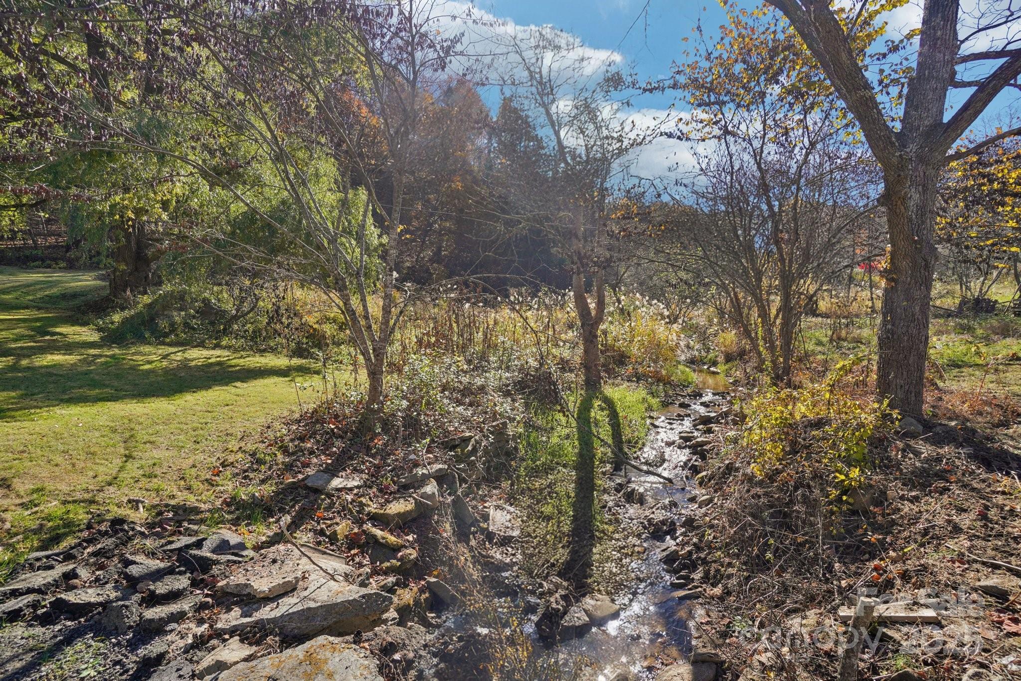 480 Paint Fork Road Barnardsville, NC 28709 - Photo 6 of 43 a backyard of a house with lots of green space