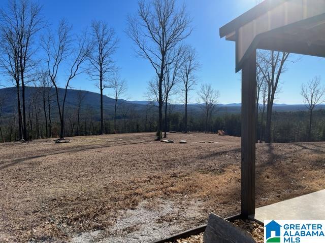 2575 Kentuck Road, Unit 40 AC Oxford, AL 36203 - Photo 8 of 23