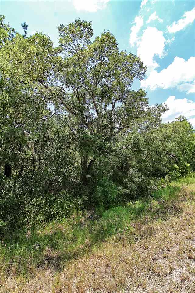 Lot 30 Surf Road Ochlockonee Bay, FL 32346 - Photo 1 of 9 Gallery Image 1