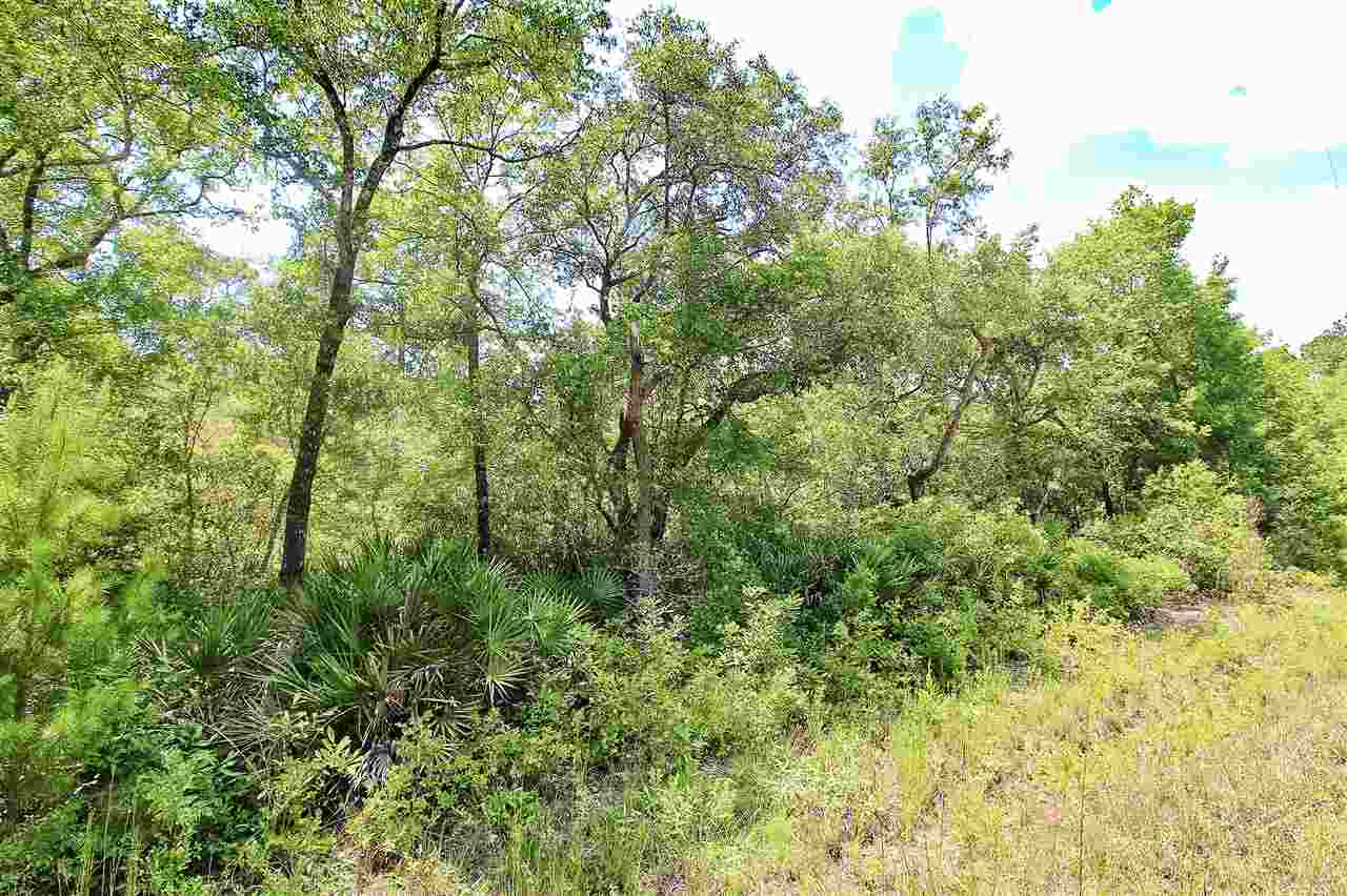Lot 30 Surf Road Ochlockonee Bay, FL 32346 - Photo 4 of 9 Gallery Image 4