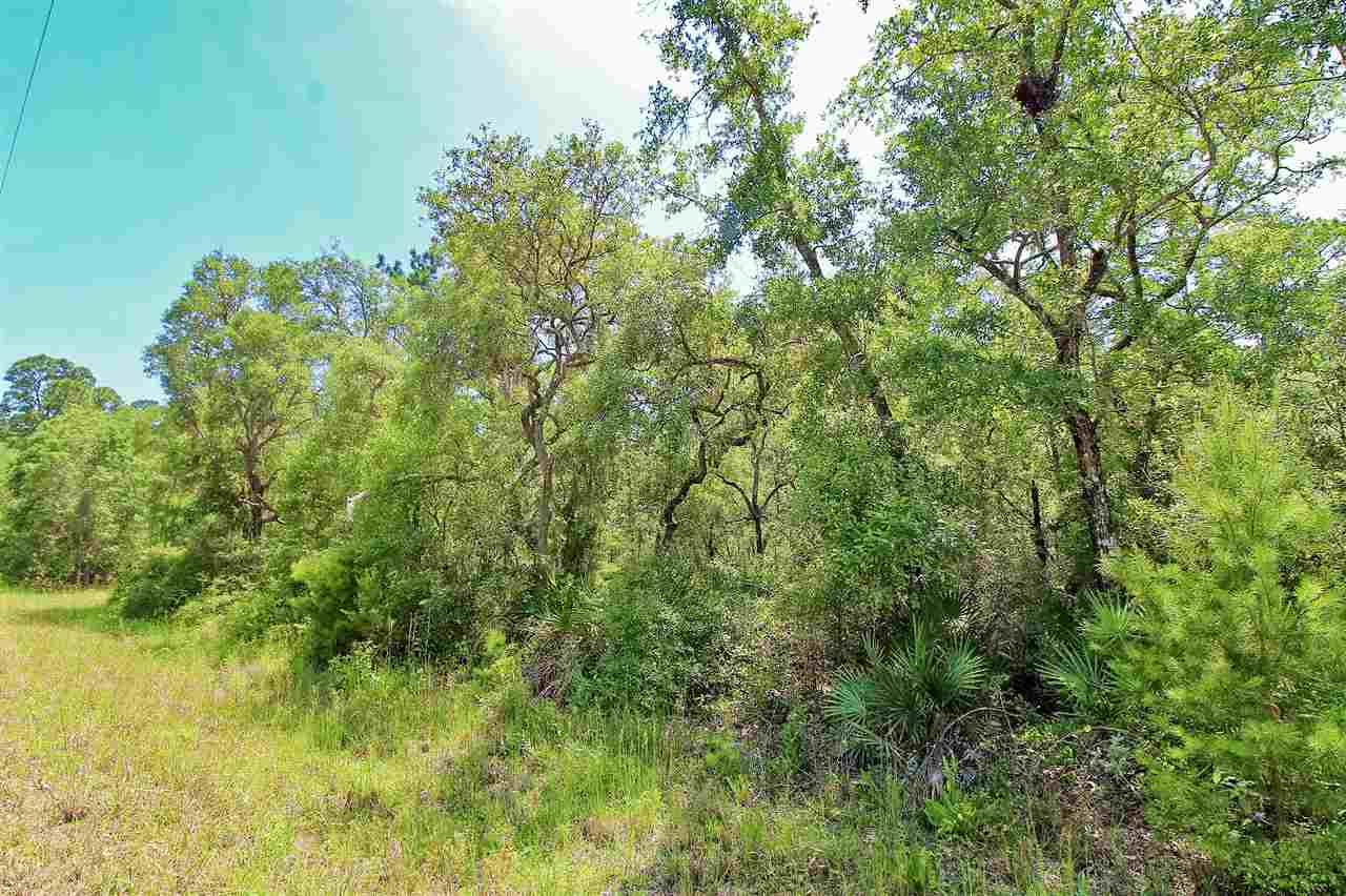 Lot 30 Surf Road Ochlockonee Bay, FL 32346 - Photo 9 of 9 Gallery Image 9