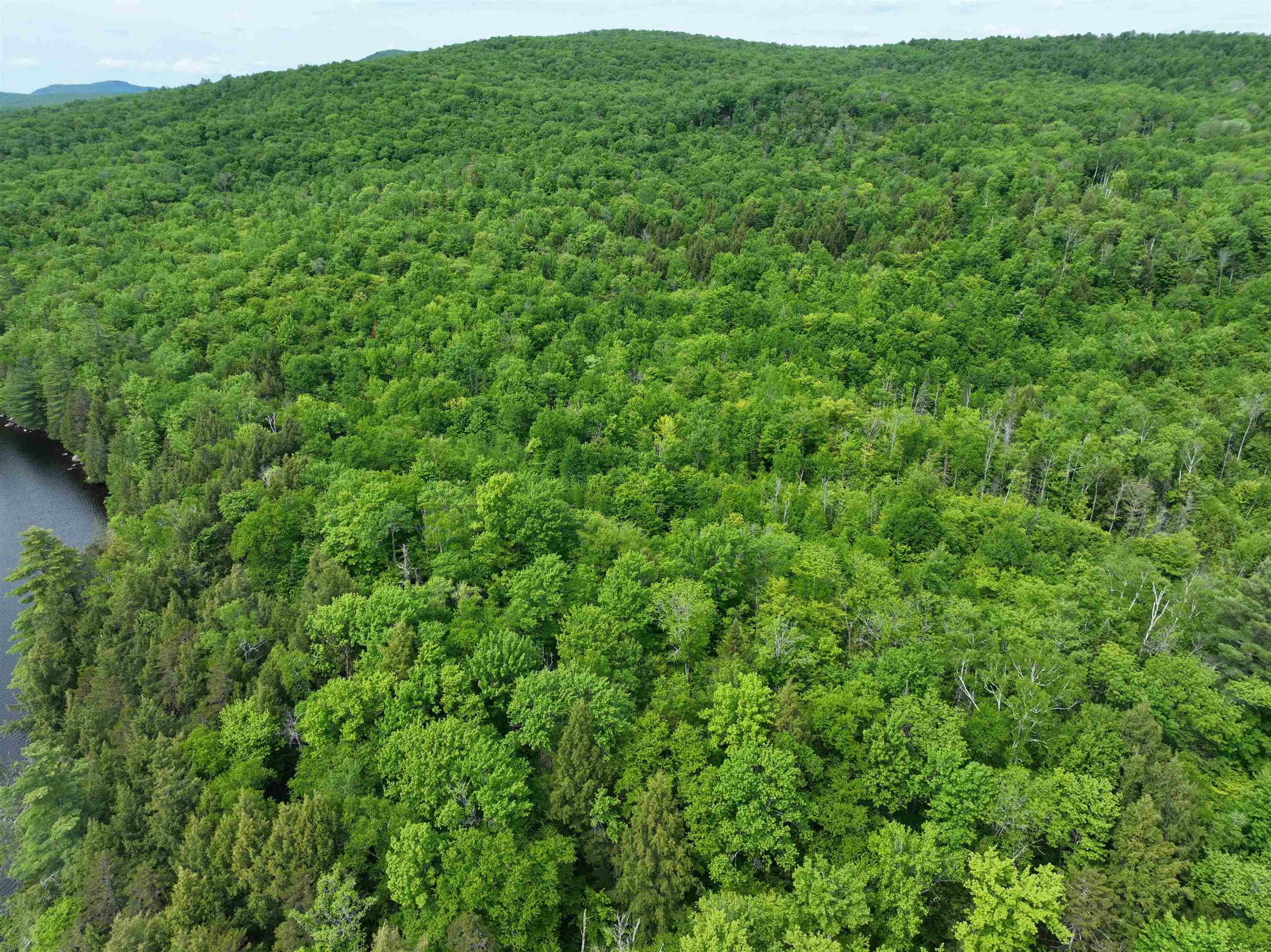 0 South County Road Groton, VT 05046 - Photo 1 of 11
