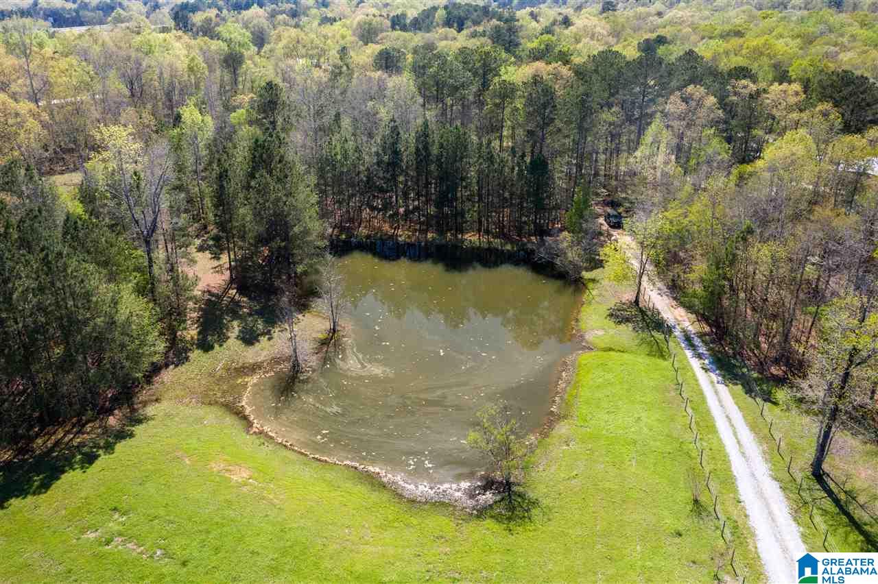 484 Cedar Hill Farm Road Sterrett, AL 35147 - Photo 4 of 50