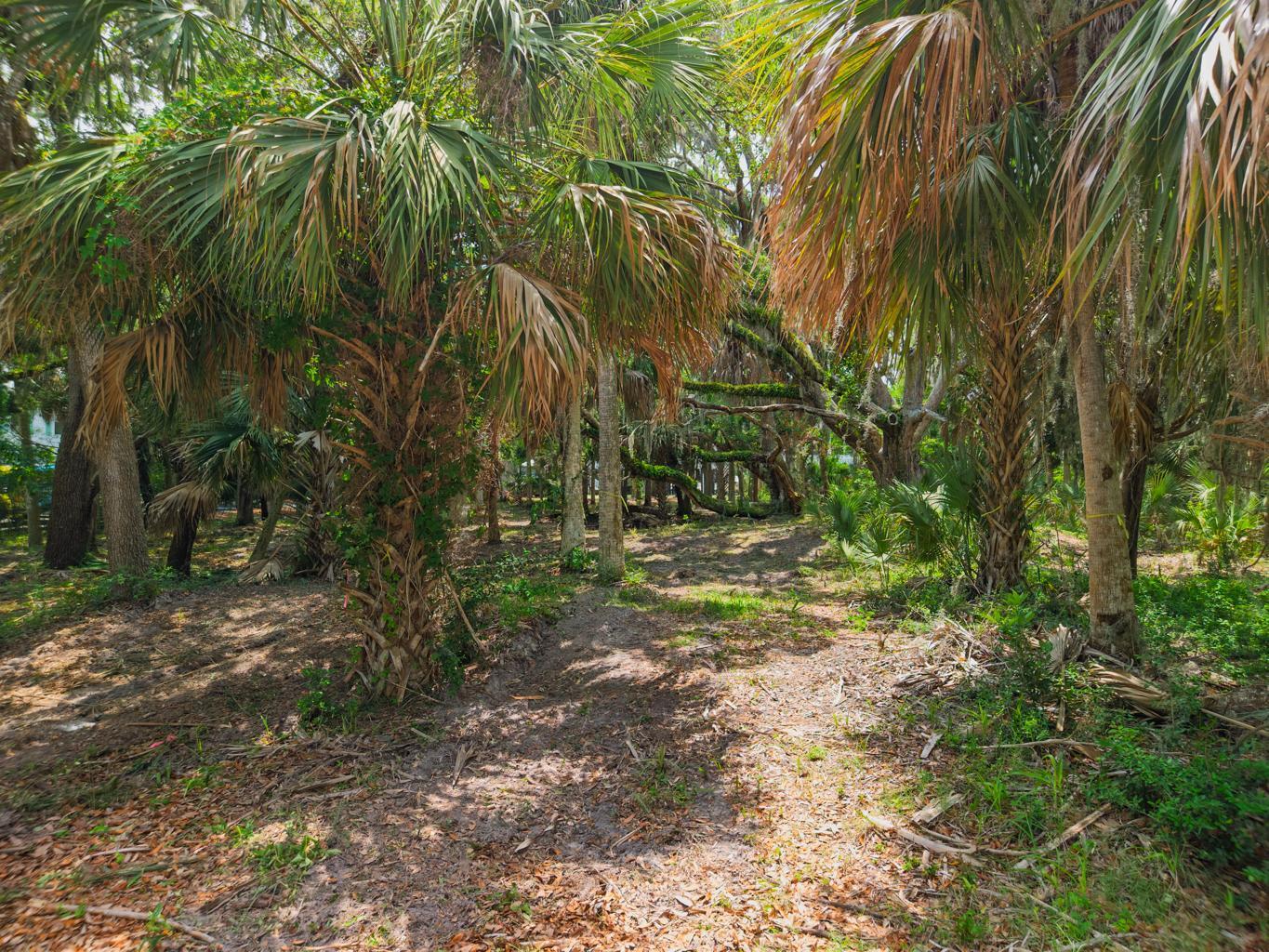 3322 Myrtle Street Edisto Island, SC 29438 - Photo 16 of 26