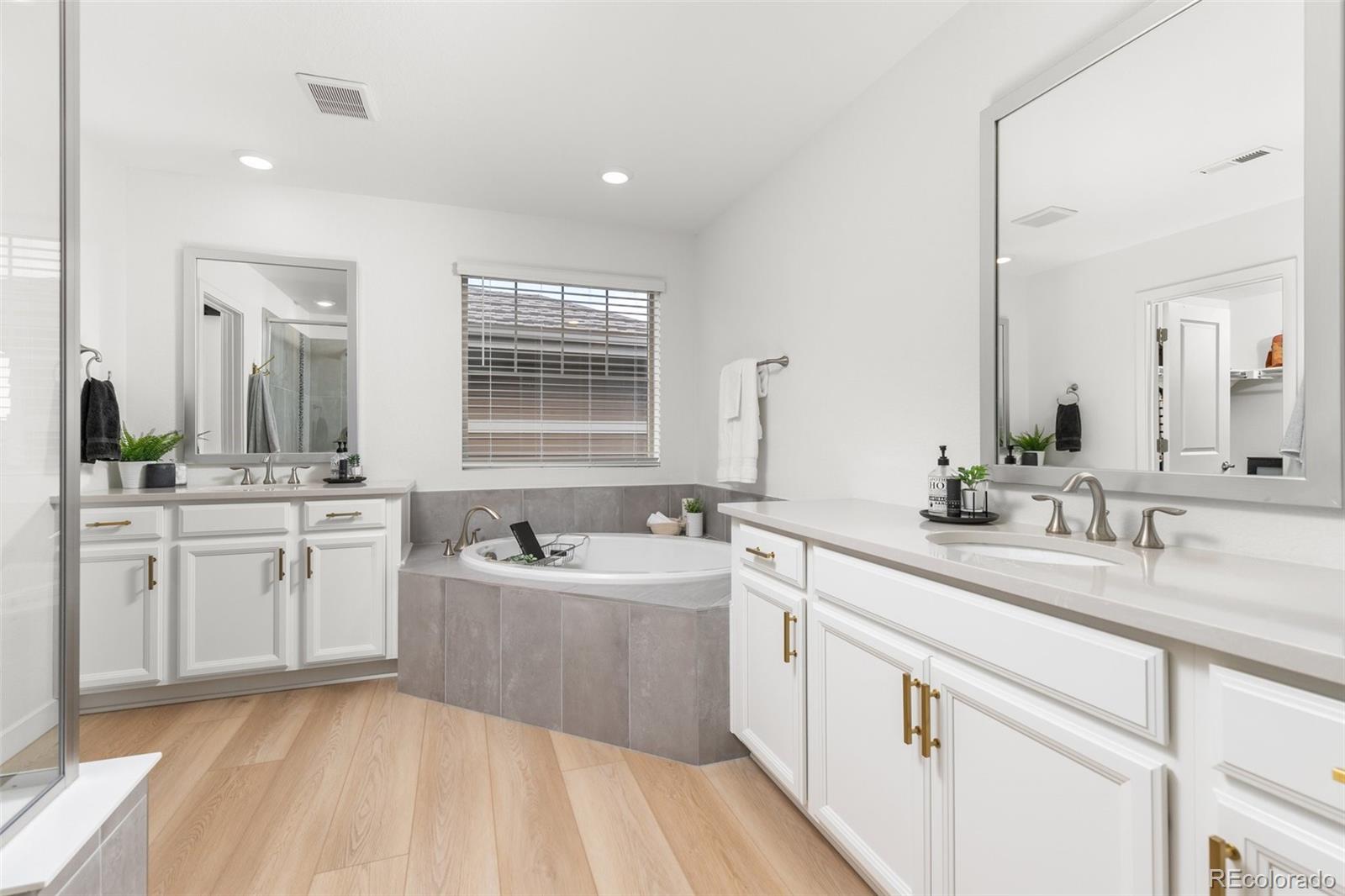 6267 North Florence Way Denver, CO 80238 - Photo 23 of 41 a spacious bathroom with a sink mirror and a bathtub