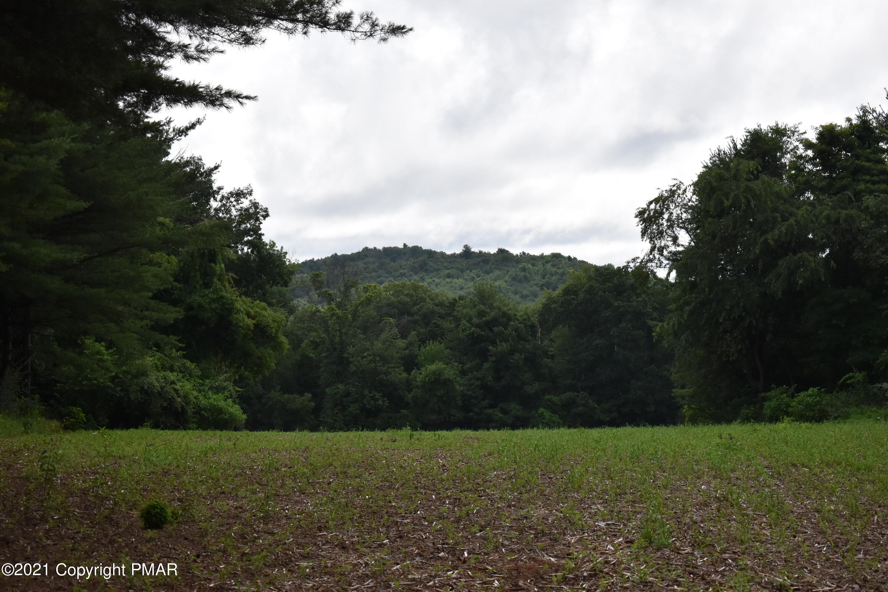 a view of field and trees in the background