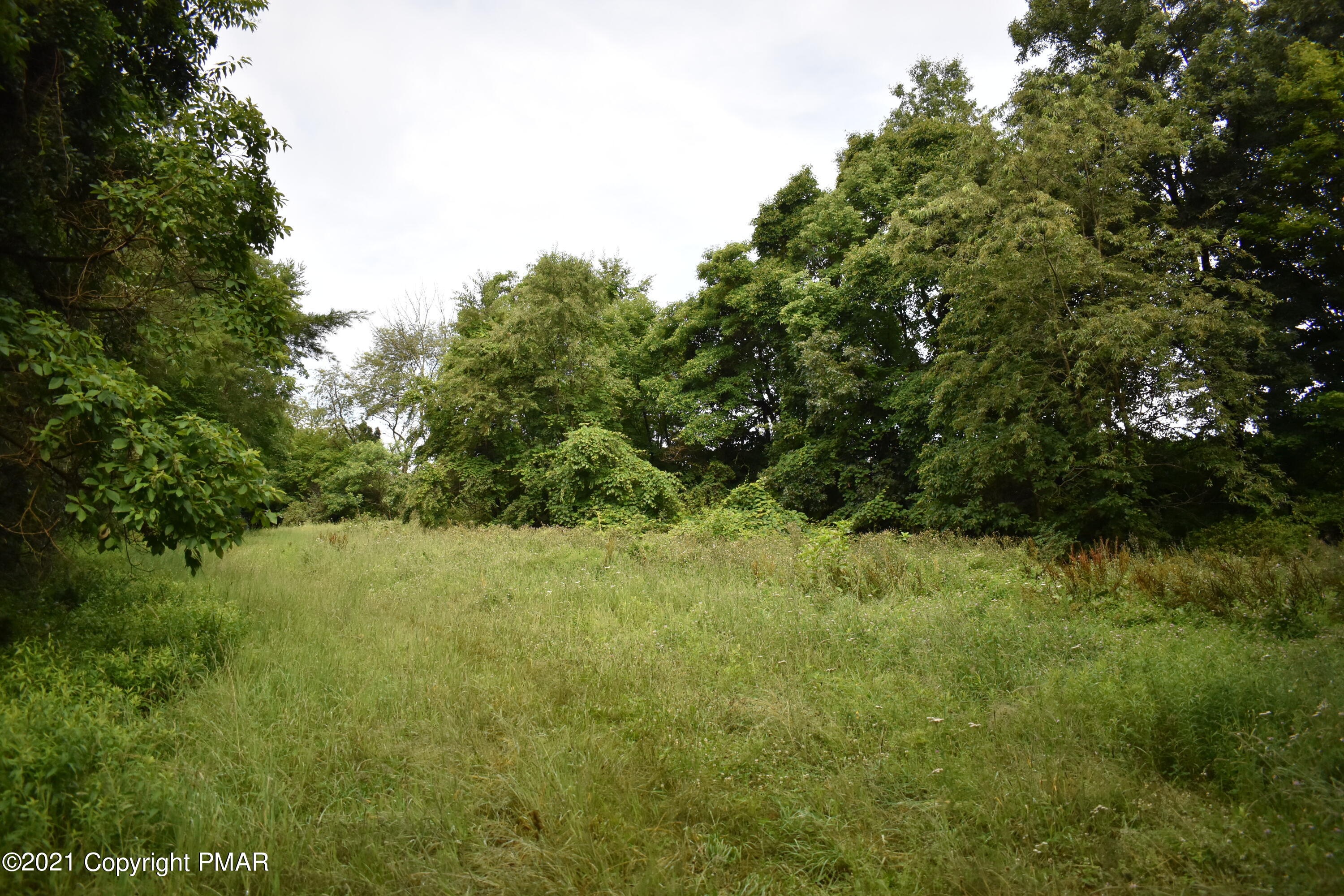 352 Church Road Kunkletown, PA 18058 - Photo 12 of 24 a view of a yard with a tree