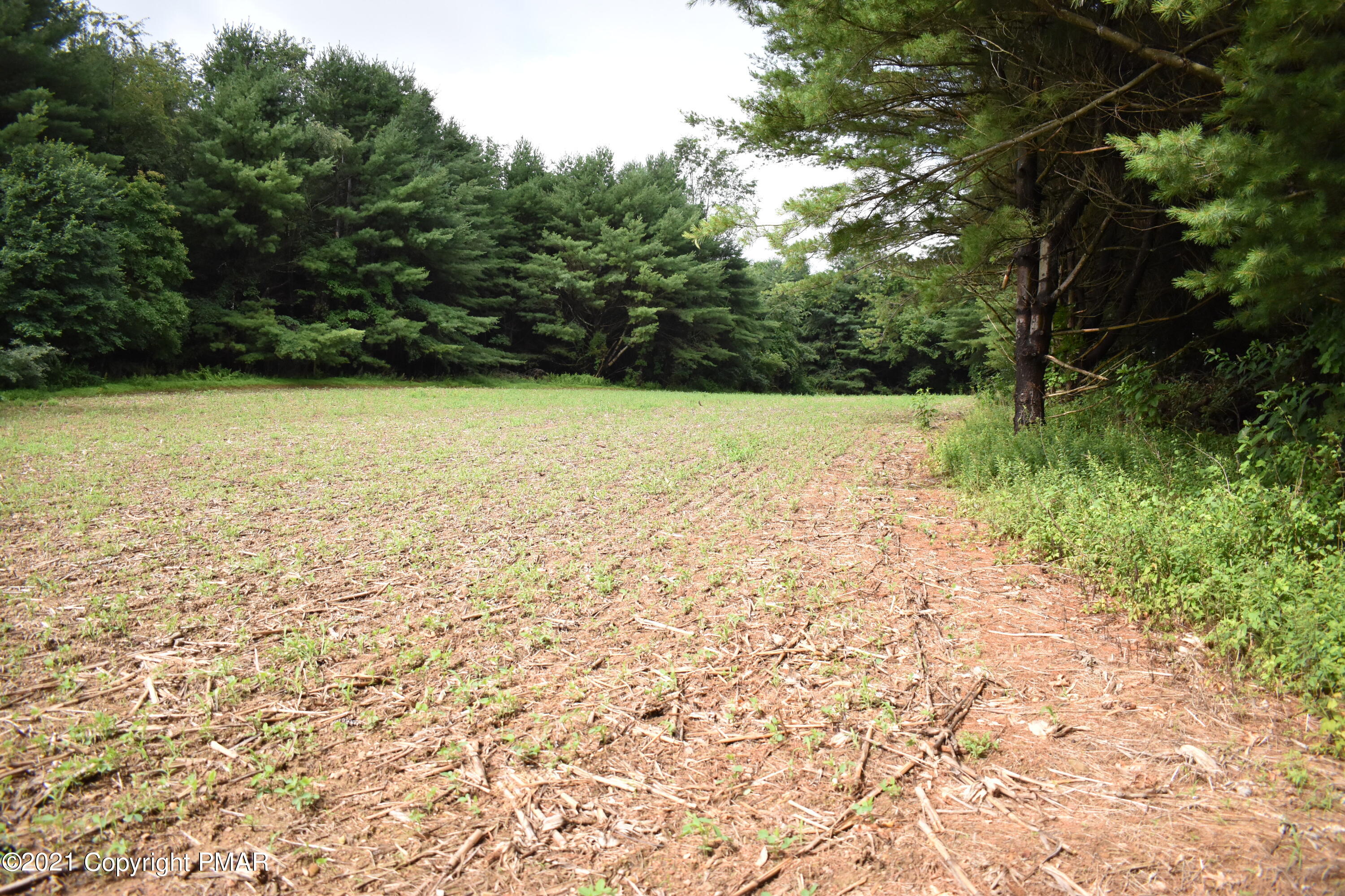 352 Church Road Kunkletown, PA 18058 - Photo 16 of 24 a view of yard with green space