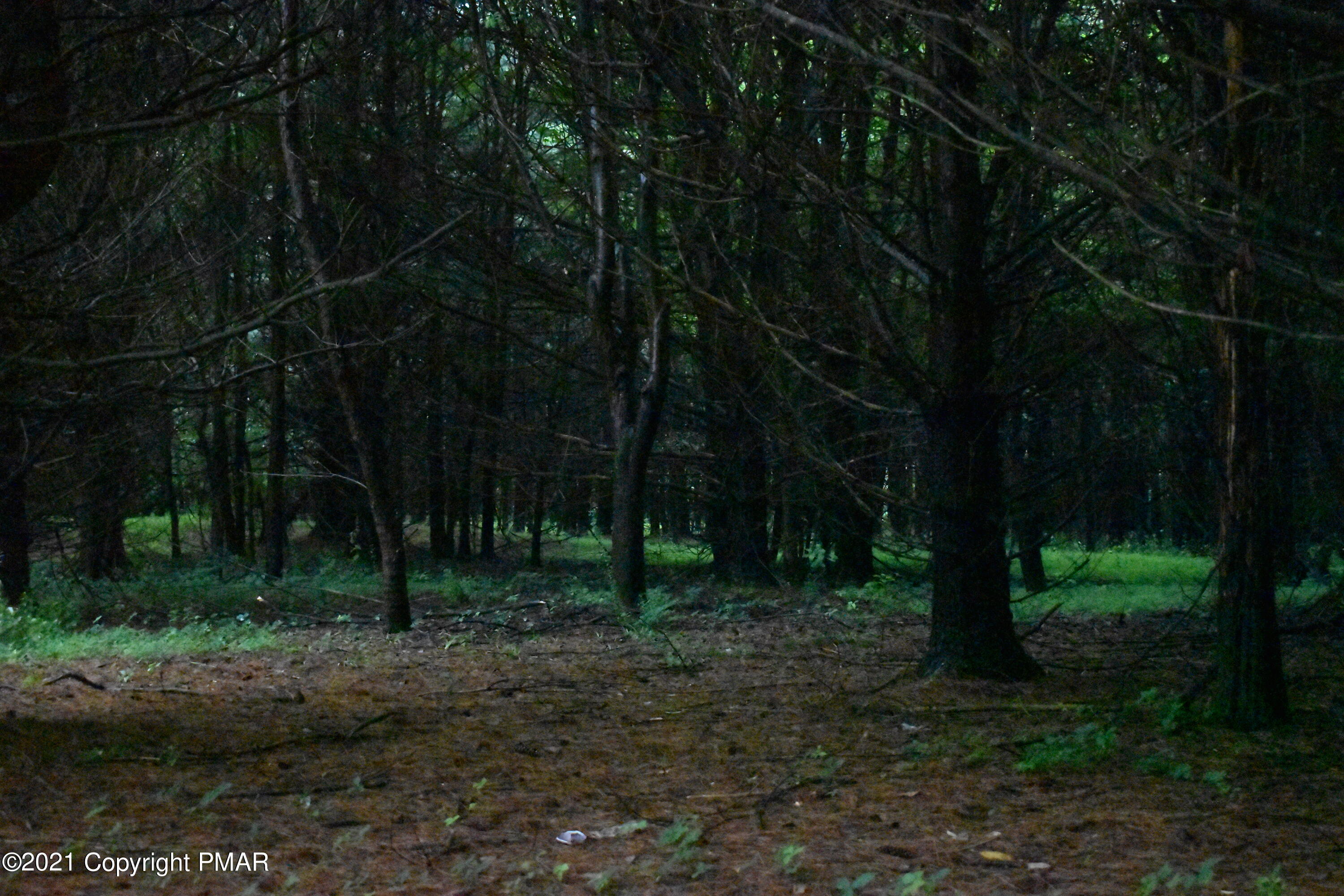 352 Church Road Kunkletown, PA 18058 - Photo 17 of 24 a view of outdoor space with lots of trees