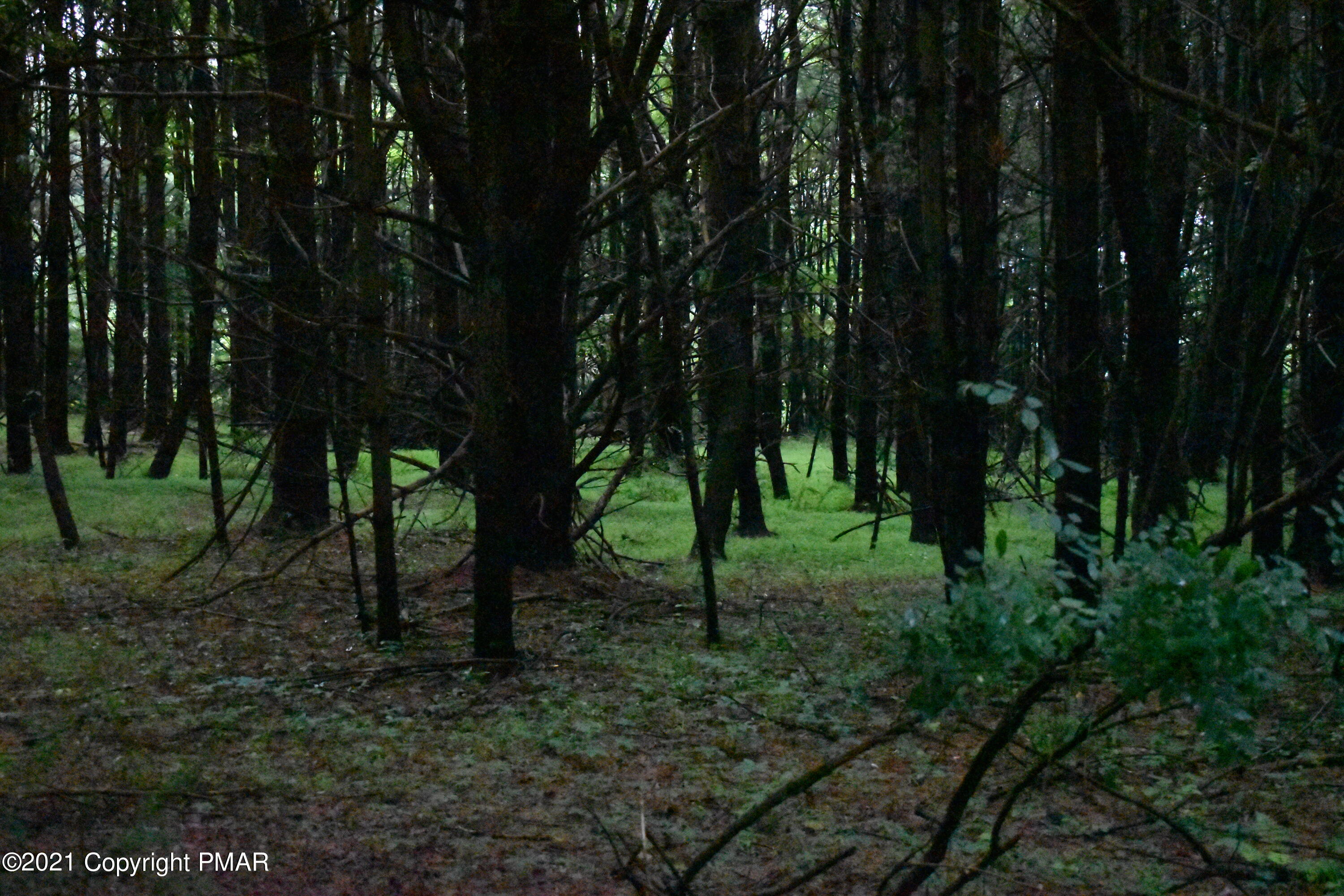 352 Church Road Kunkletown, PA 18058 - Photo 18 of 24 a view of a forest with trees in the background