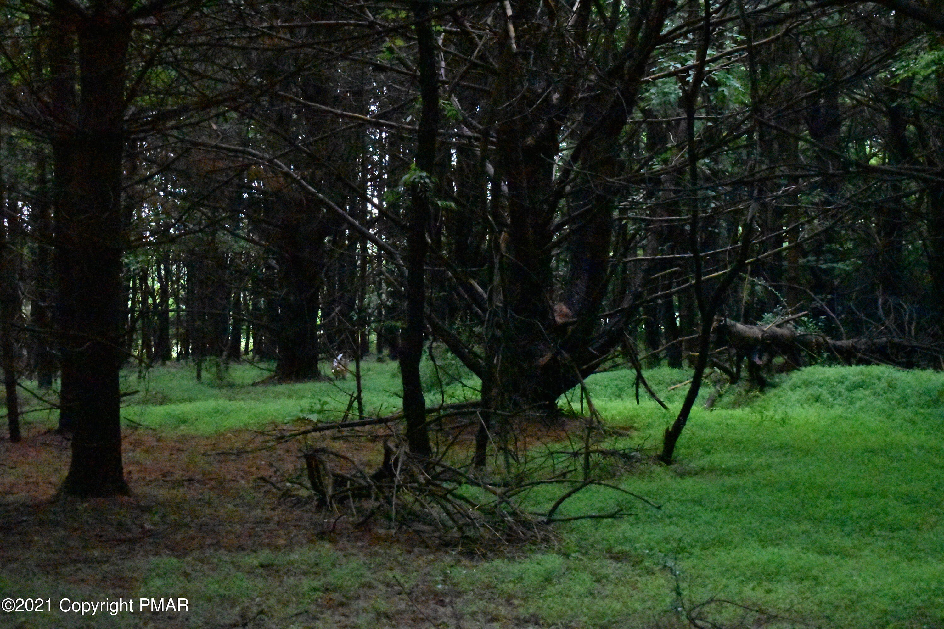 352 Church Road Kunkletown, PA 18058 - Photo 19 of 24 a view of a park with large trees