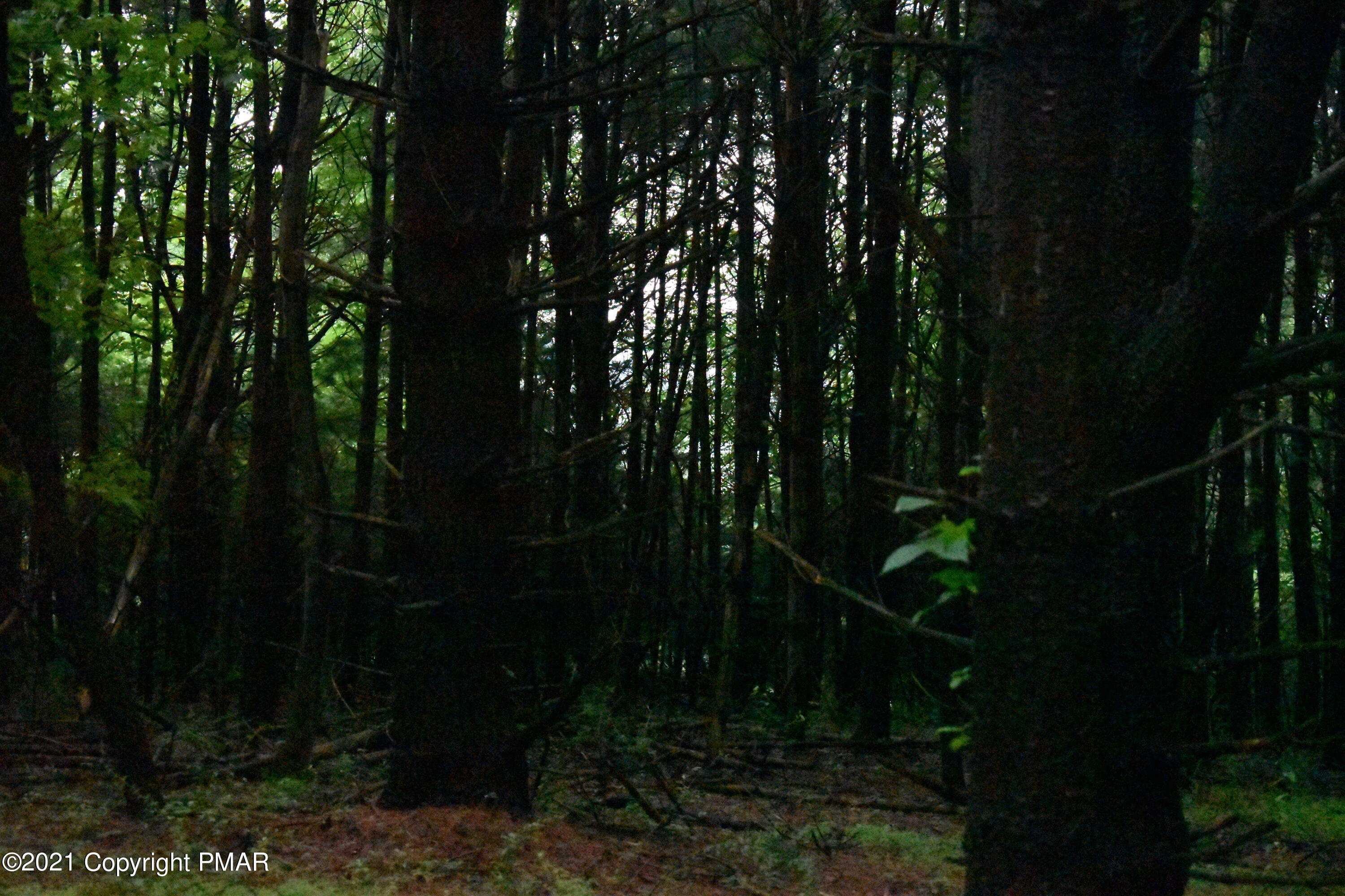 352 Church Road Kunkletown, PA 18058 - Photo 21 of 24 a backyard of a house with lots of green space and trees all around