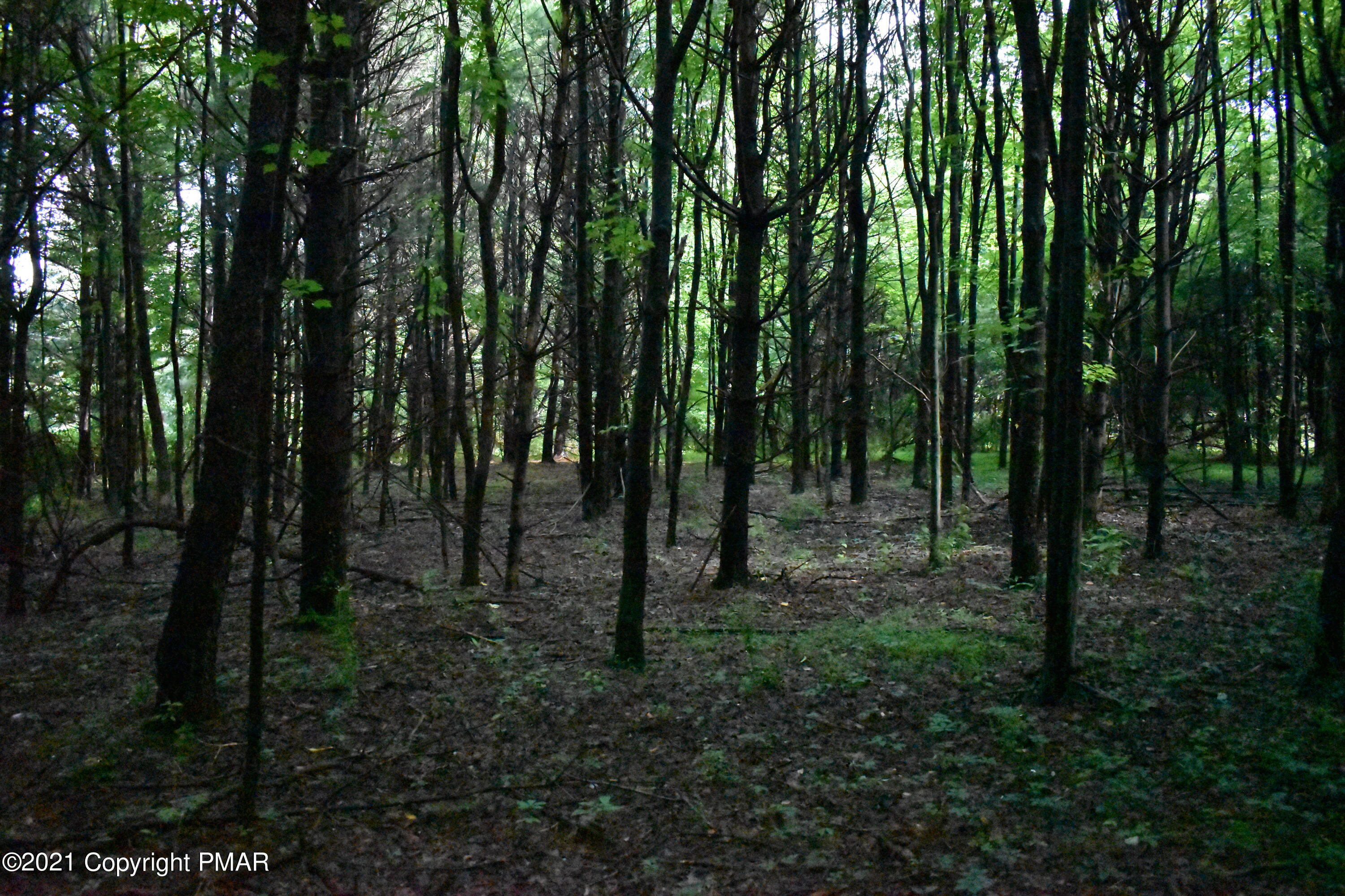 352 Church Road Kunkletown, PA 18058 - Photo 22 of 24 a view of outdoor space and green space
