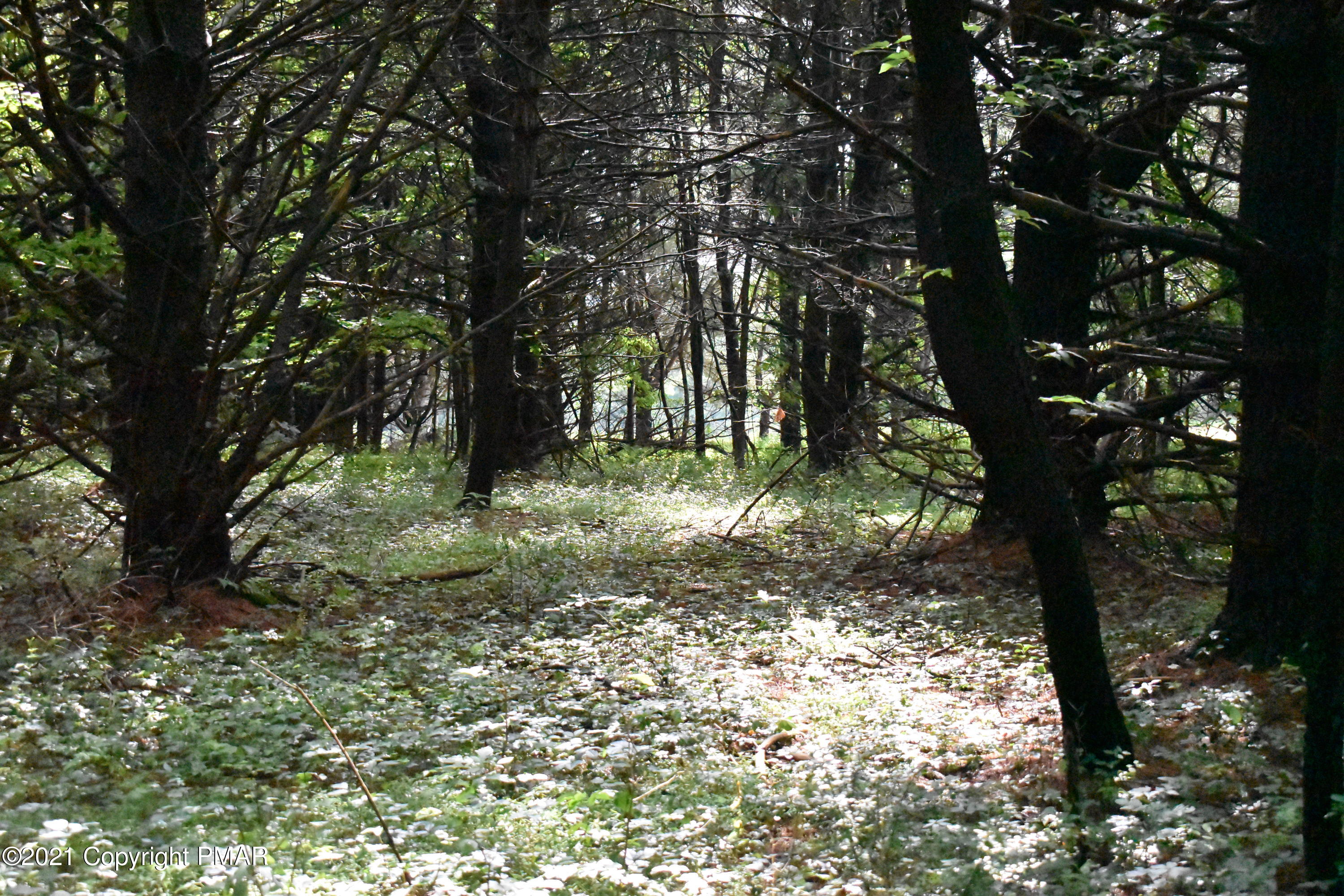 352 Church Road Kunkletown, PA 18058 - Photo 24 of 24 a big yard with lots of green space and house in the back