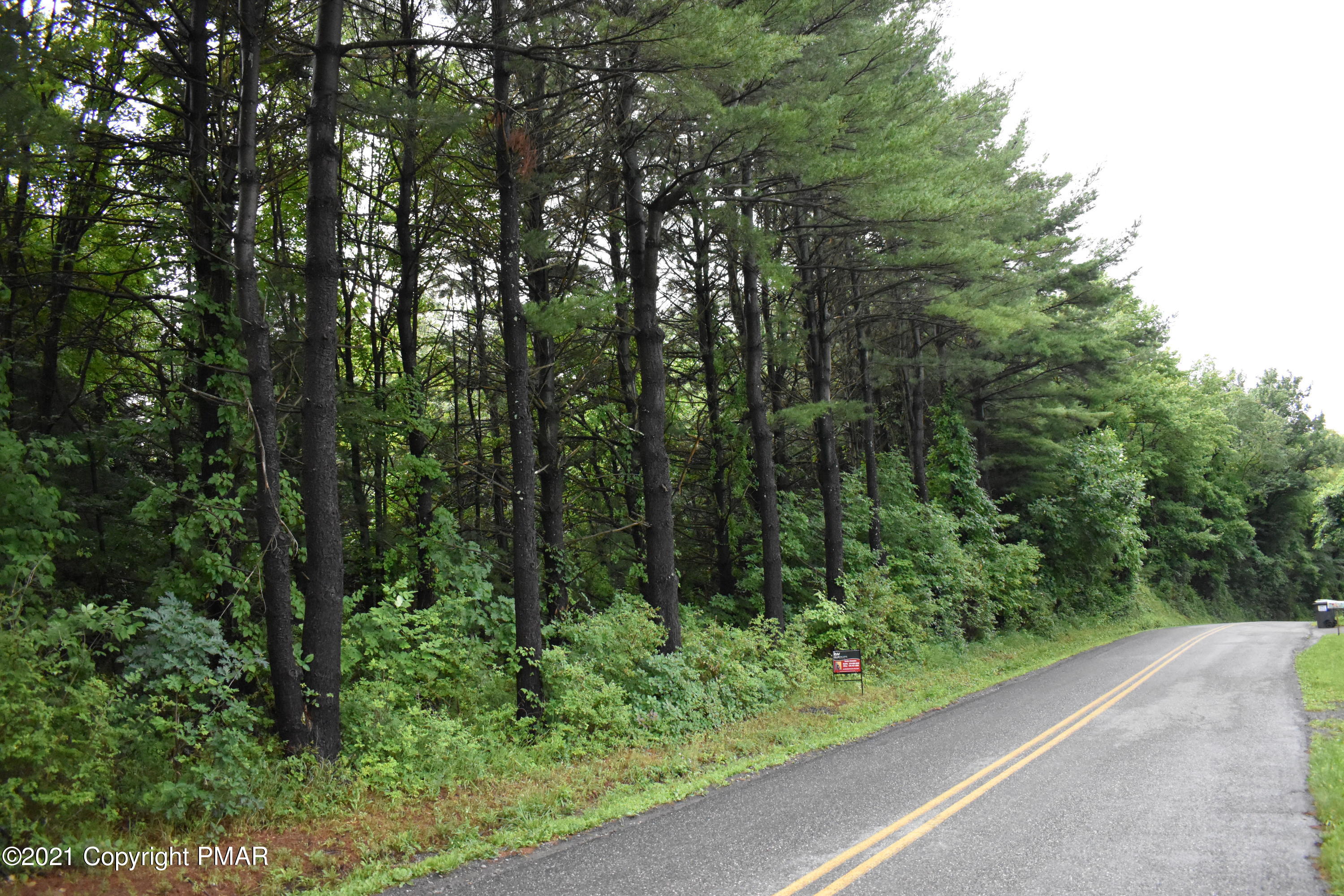 352 Church Road Kunkletown, PA 18058 - Photo 3 of 24 a view of a garden with plants and large trees