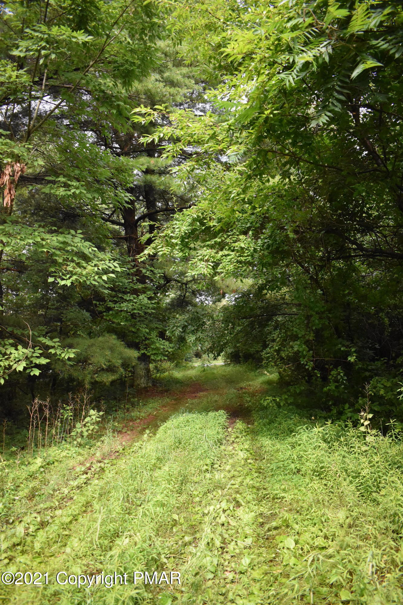 352 Church Road Kunkletown, PA 18058 - Photo 5 of 24 a view of yard with green space