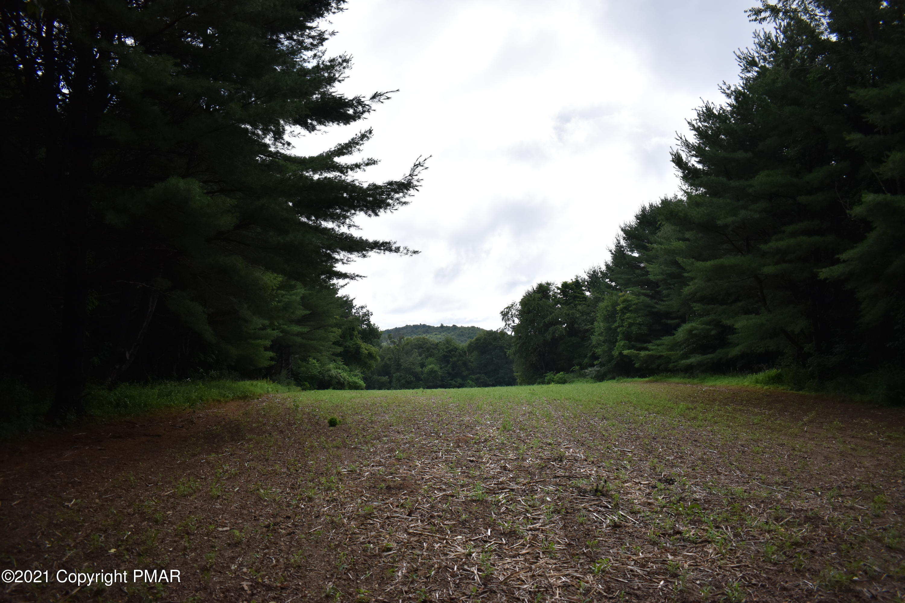 352 Church Road Kunkletown, PA 18058 - Photo 6 of 24 a view of a field with trees in background