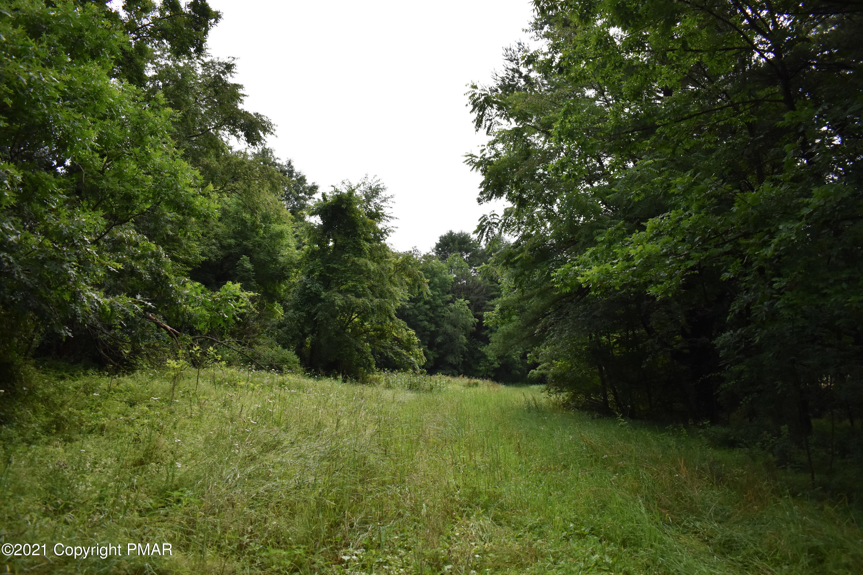 352 Church Road Kunkletown, PA 18058 - Photo 8 of 24 a view of a green field with lots of bushes