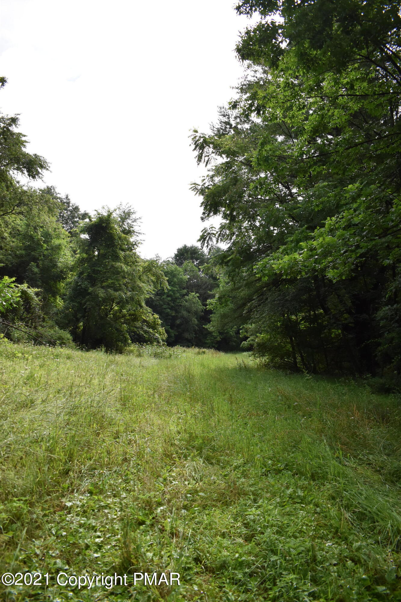 352 Church Road Kunkletown, PA 18058 - Photo 9 of 24 a view of outdoor space and yard