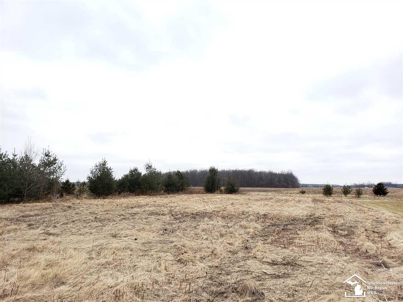 138 Rauch Road Temperance, MI 48182 - Photo 30 of 31