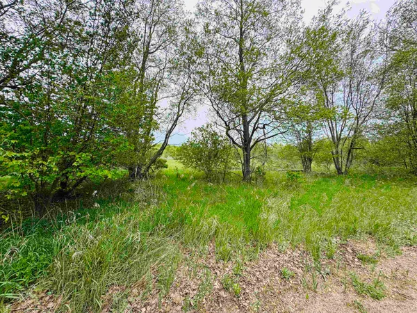 $20,000 | Parcel B2 Bosscher Road, Manton, MI 49663