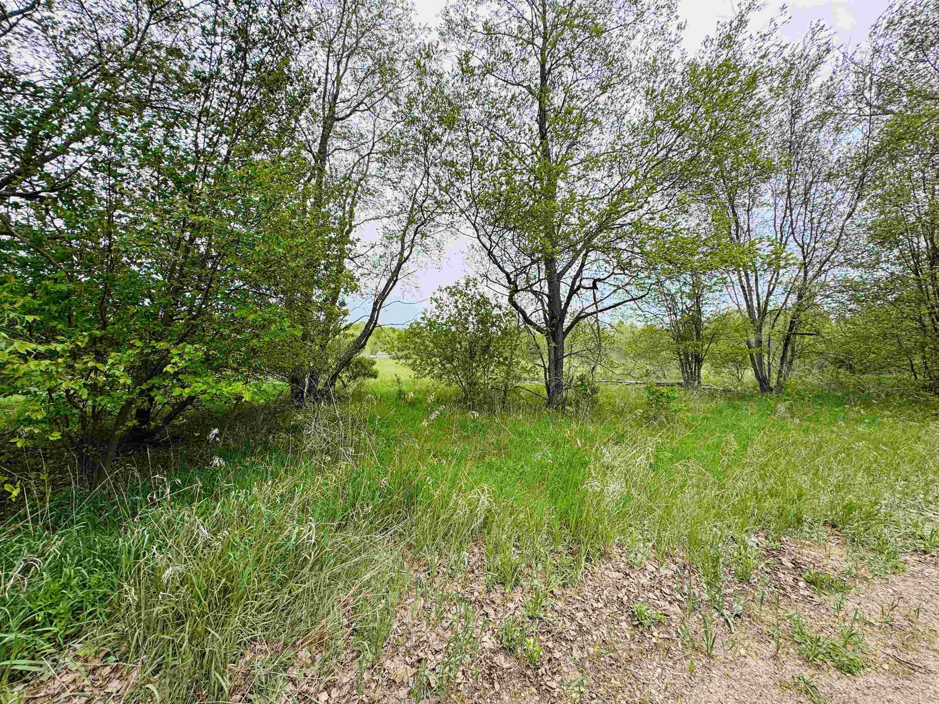 Parcel B2 Bosscher Road Manton, MI 49663 - Photo 1 of 13