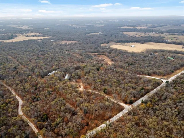 a view of a dry yard