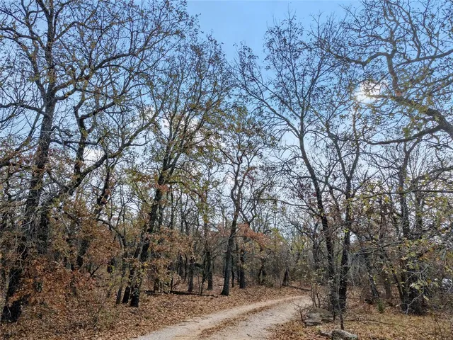a view of a yard with a tree