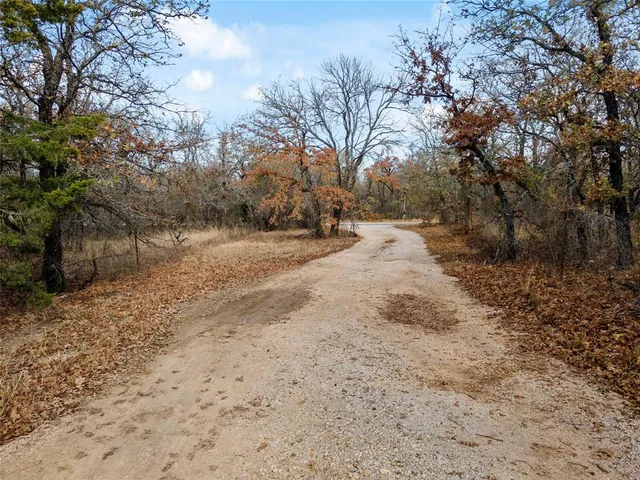 a view of dirt yard with large trees