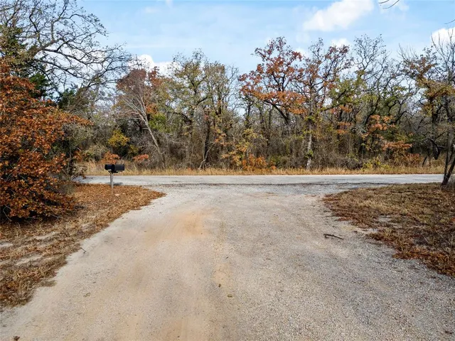 a view of a yard with large trees
