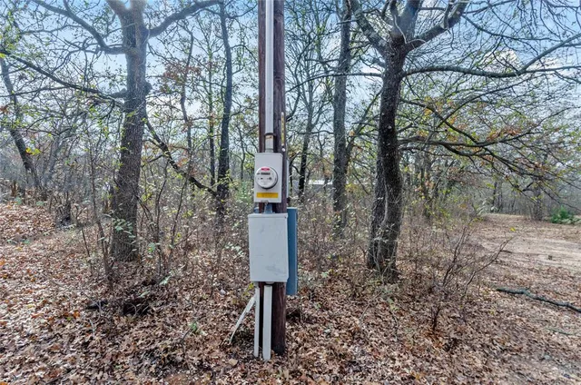 a view of a forest filled with trees