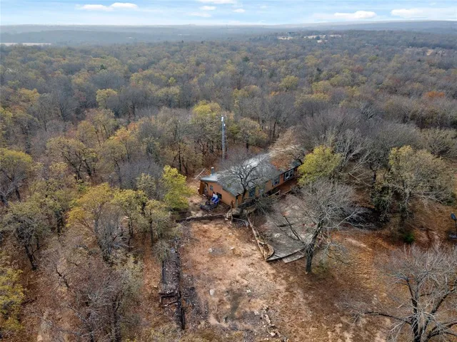 a view of a dry yard with trees and houses