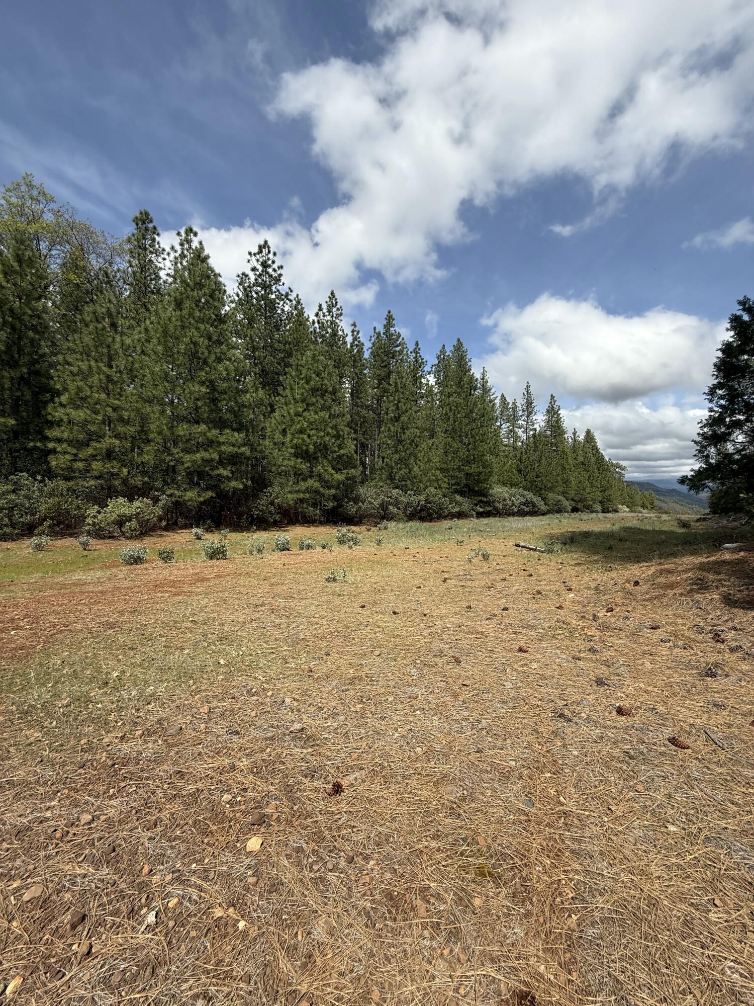open view at beginning