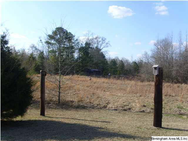 886 County Road 502 Verbena, AL 36091 - Photo 4 of 8