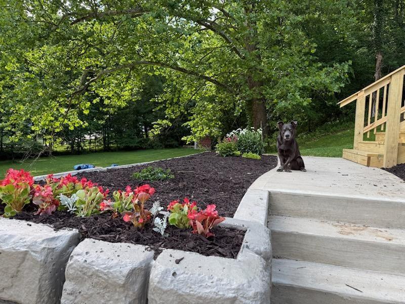 117 Cowpath Road Aliquippa, PA 15001 - Photo 50 of 50 ALL NEW LANDSCAPING!