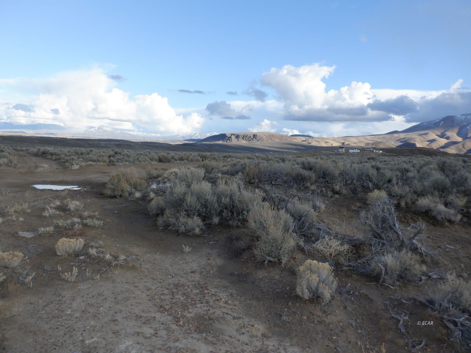 33-3 7th Street Elko, NV 89801 - Photo 5 of 15