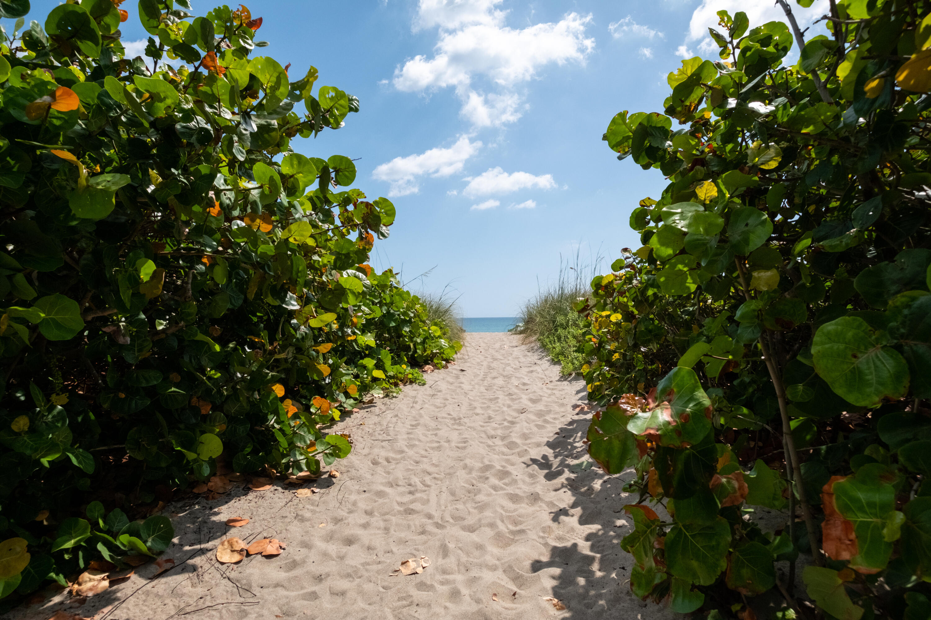 2913 Southeast Darien Road Port St. Lucie, FL 34952 - Photo 54 of 54 7 miles to Sea Turtle Beach