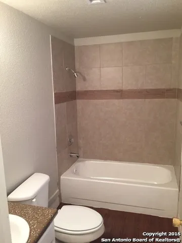 a bathroom with a toilet and a bathtub