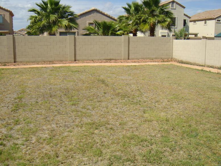 7320 West Ocotillo Road Glendale, AZ 85303 - Photo 12 of 13 backyard