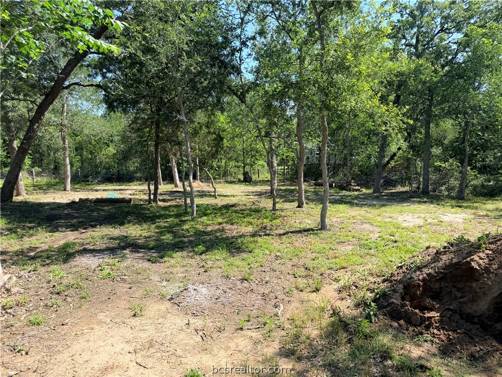 281 Redberry Road Somerville, TX 77879 - Photo 10 of 15