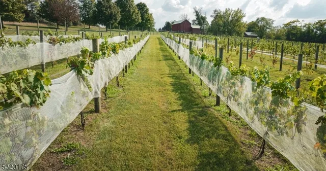 an aerial view of a house with a garden and lake view