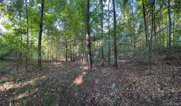 $139,000 | Hidden Court, Mount Tremper, NY 12457