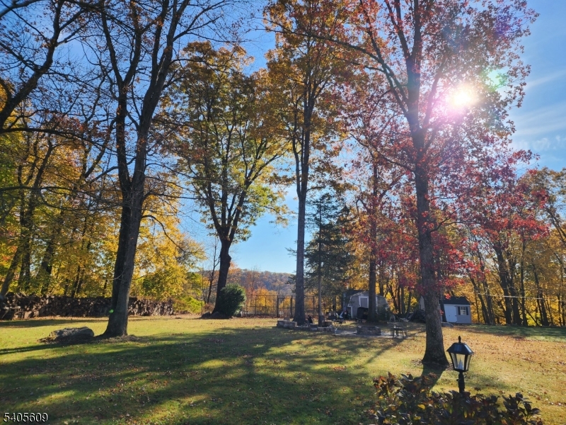 342 Diamond Spring Road Denville, NJ 07834 - Photo 8 of 9 a view of a yard with a tree