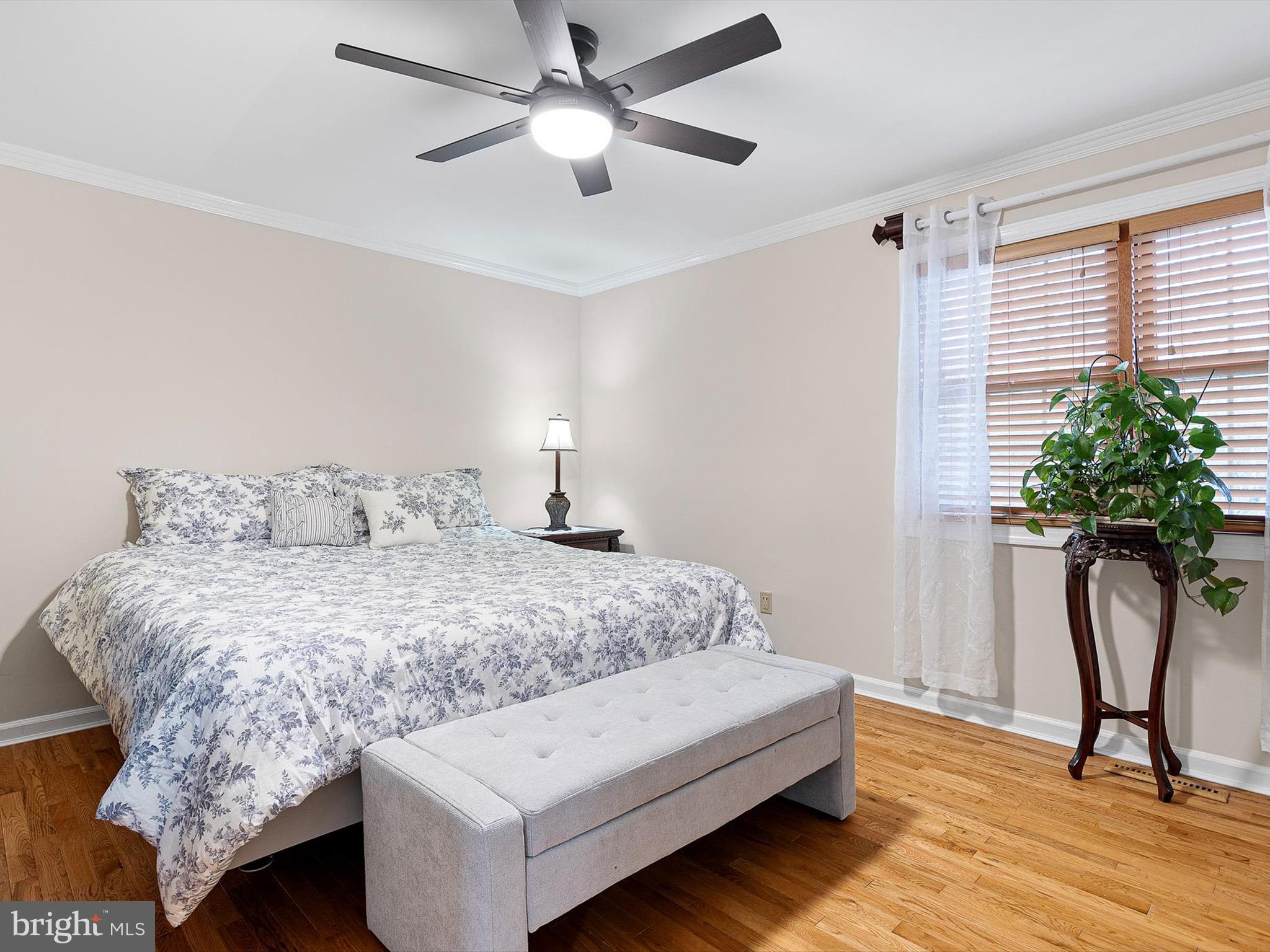 46 Westbridge Road Bear, DE 19701 - Photo 10 of 25 a bedroom with a bed and a potted plant