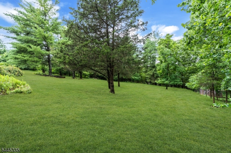 365 Vernoy Road Califon, NJ 07830 - Photo 44 of 50
