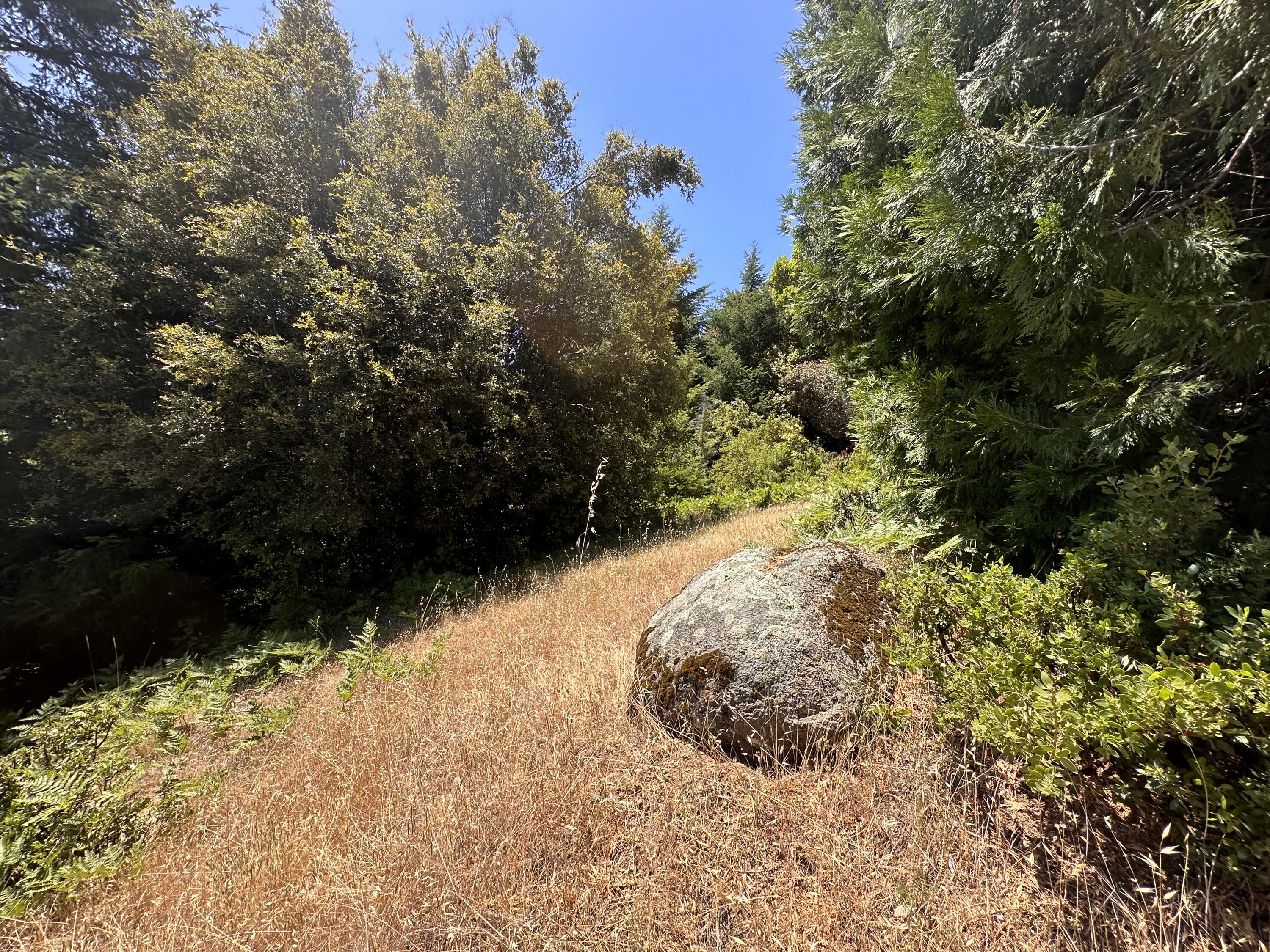 950 Powell Crk Road Garberville, CA 95542 - Photo 33 of 78