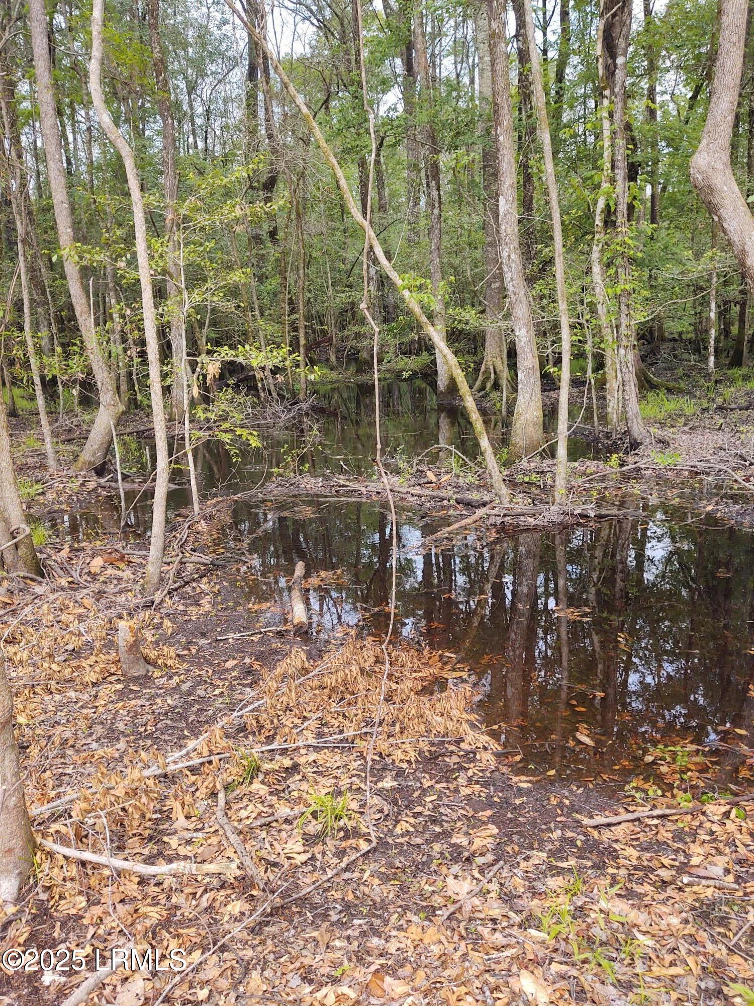I95 Evergreen Lane Walterboro, SC 29488 - Photo 12 of 31 IMG_20210505_111113764