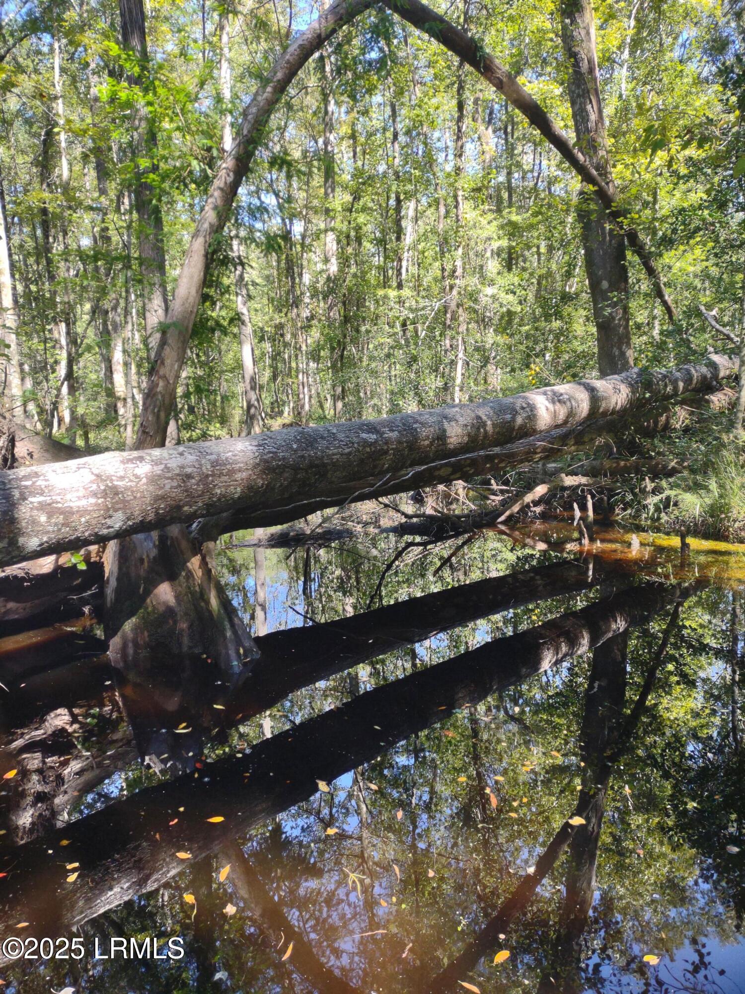 I95 Evergreen Lane Walterboro, SC 29488 - Photo 16 of 31 IMG_20221004_123122580