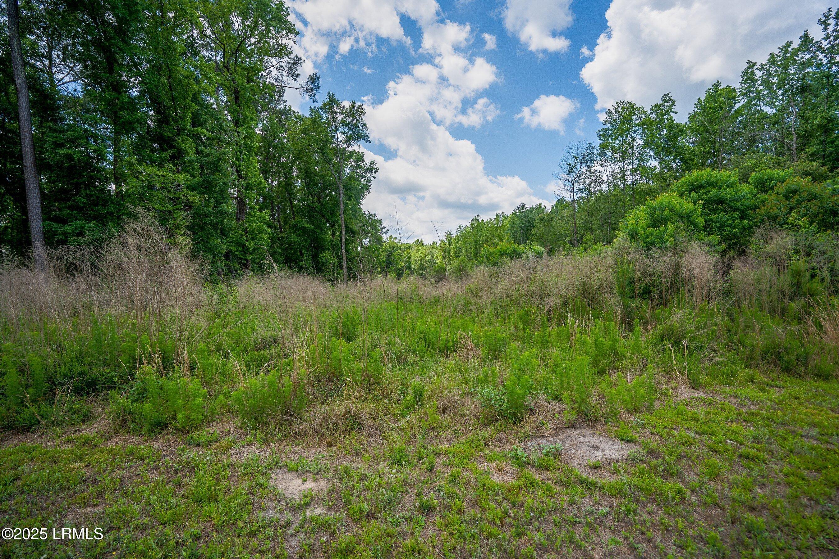 I95 Evergreen Lane Walterboro, SC 29488 - Photo 17 of 31 DSC01511-10-HDR.jpg-SMALL